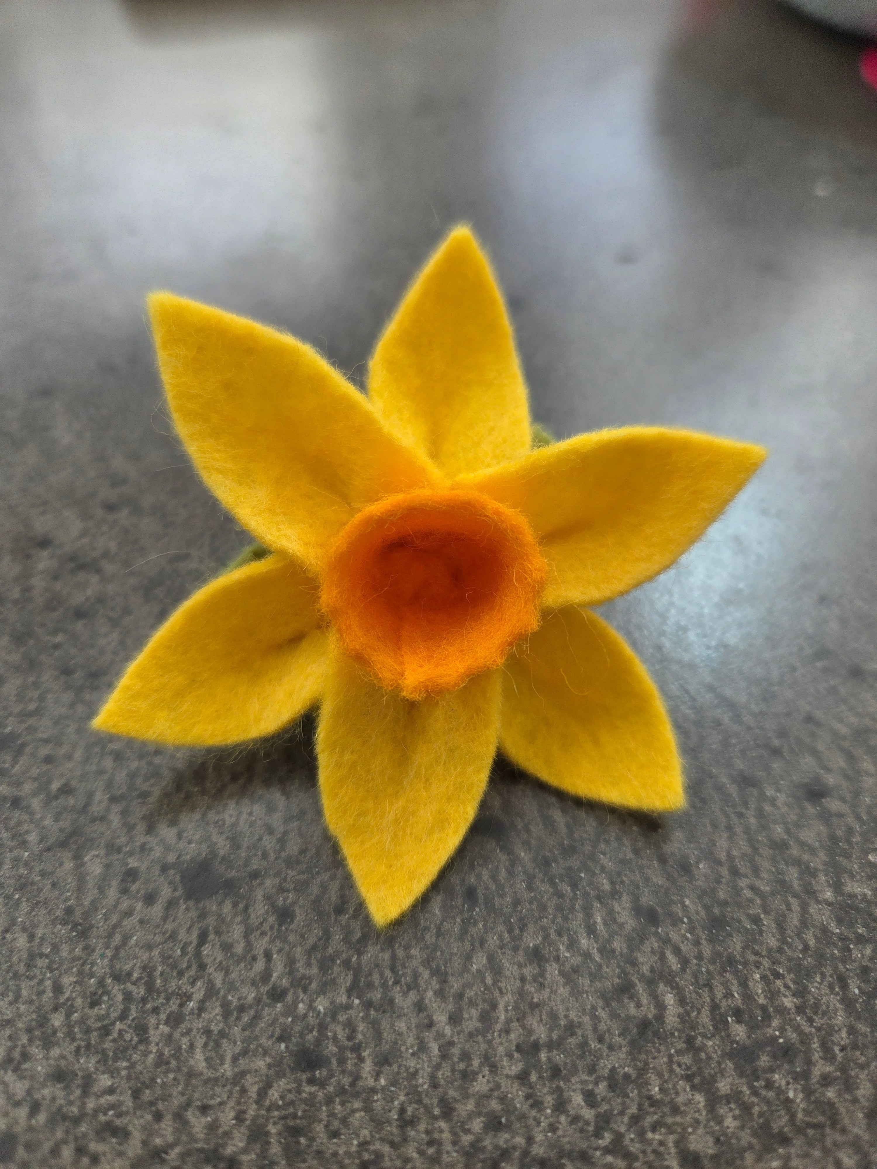 Daffodil Day NZ – Why the Little Yellow Flower Means So Much